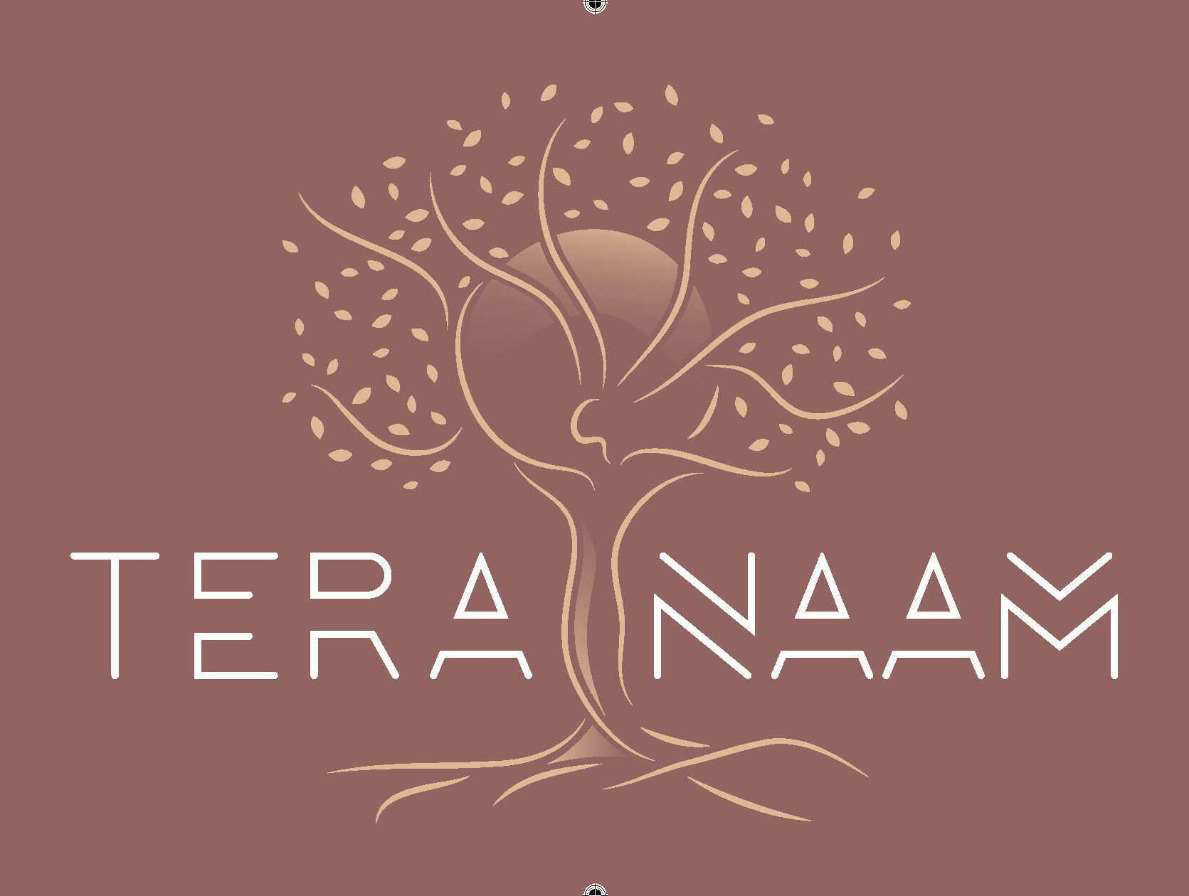 Tera Naam